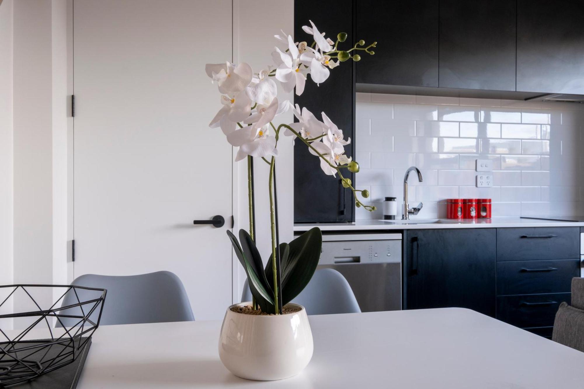 Luxury 2 Bed Townhome In Cbd كريستتشيرش المظهر الخارجي الصورة