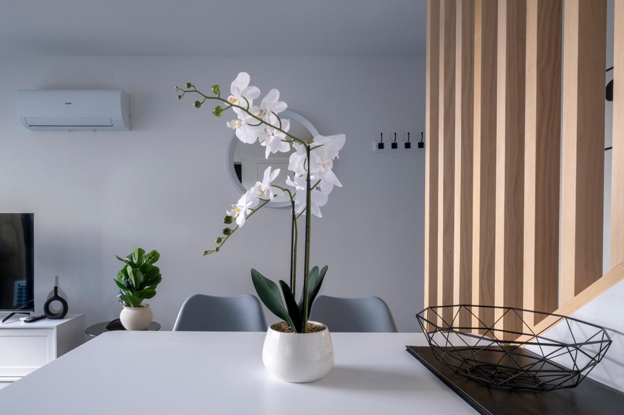 Luxury 2 Bed Townhome In Cbd كريستتشيرش المظهر الخارجي الصورة